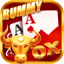 rummy hot icon